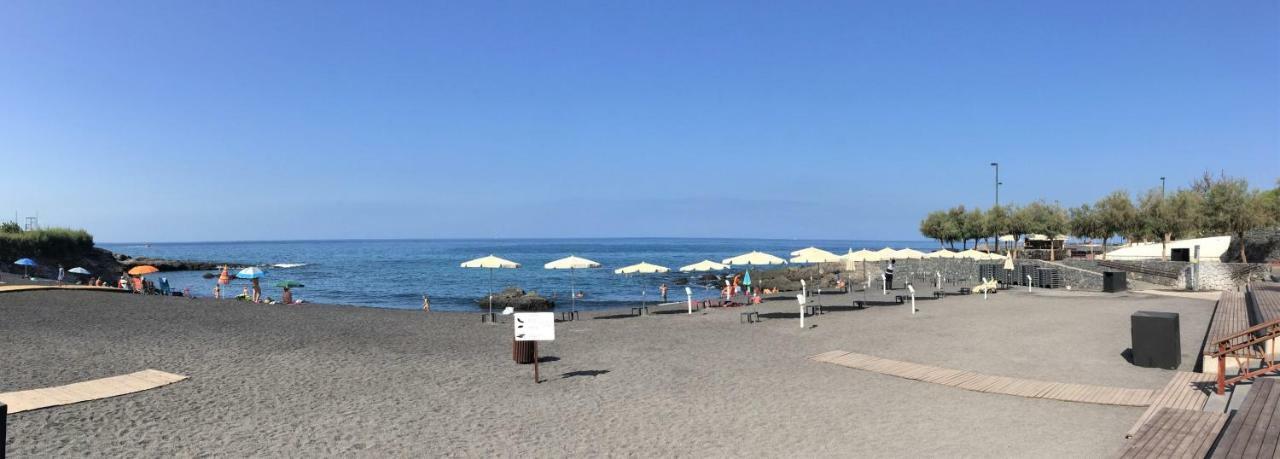 Alcalá la RealTortuga'S Mood公寓 外观 照片